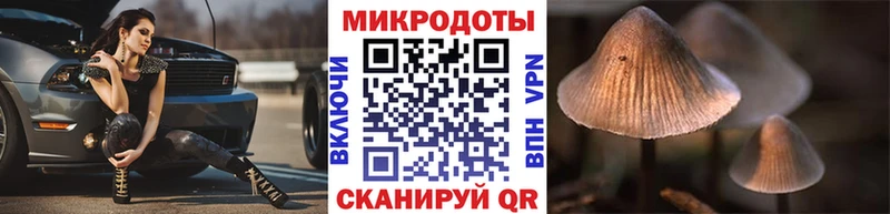 MEGA ССЫЛКА наркотики Шахунья Псилоцибиновые грибы прущие грибы